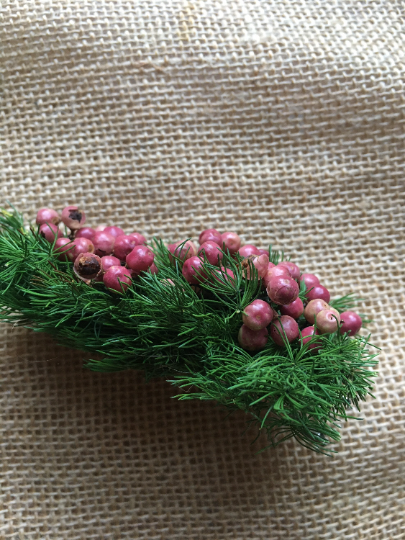 Handmade Christmas Gift, Preserved Christmas Tree Hair Accessories, Tree Hair Clip, Unique Pepper Tree and Preserved Mink Fern Leaves UK