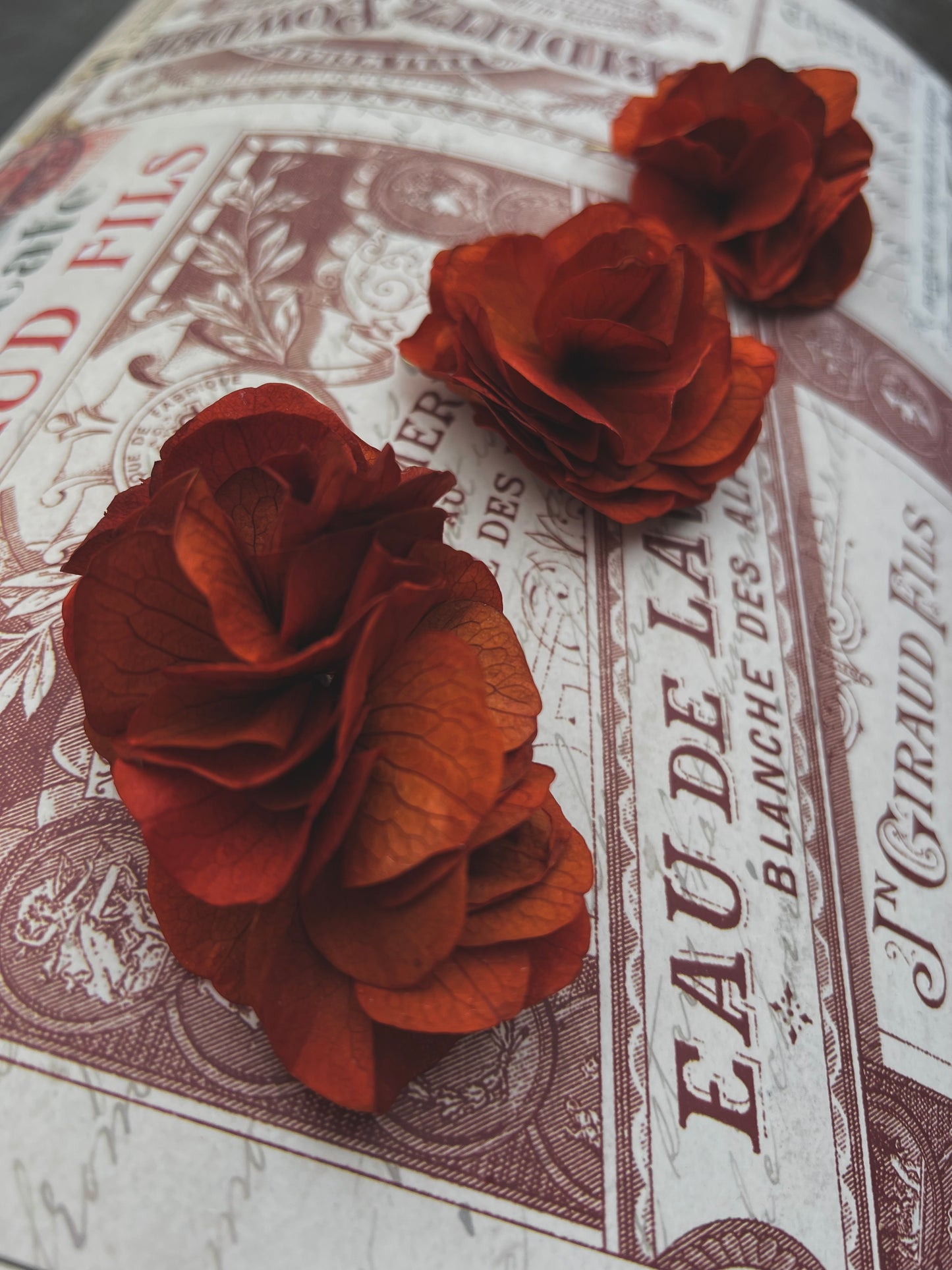Autumnal Terracotta Orange Earrings, Burnt Orange Floral Headpiece Dried Flower Comb for Wedding