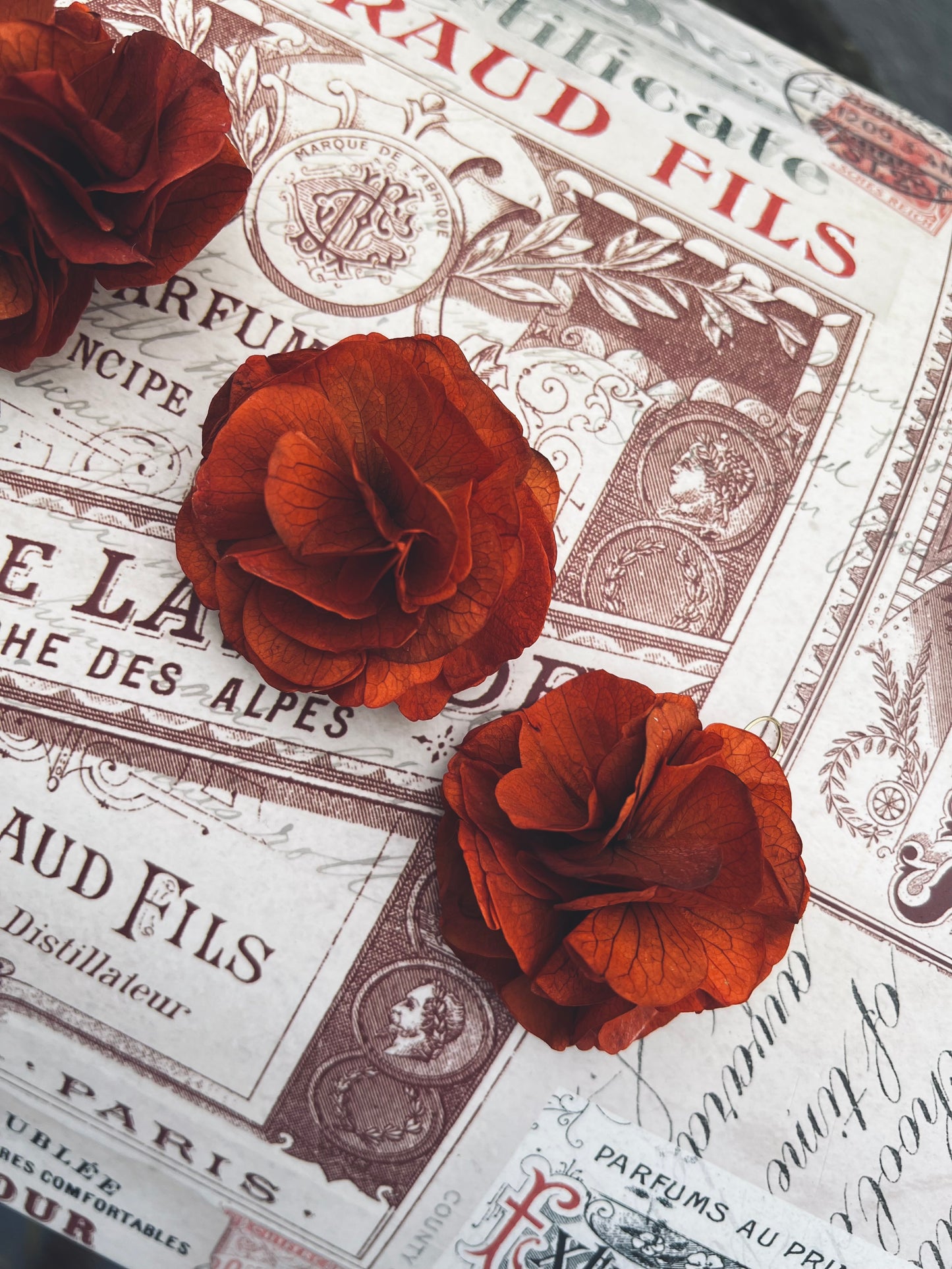 Autumnal Terracotta Orange Earrings, Burnt Orange Floral Headpiece Dried Flower Comb for Wedding