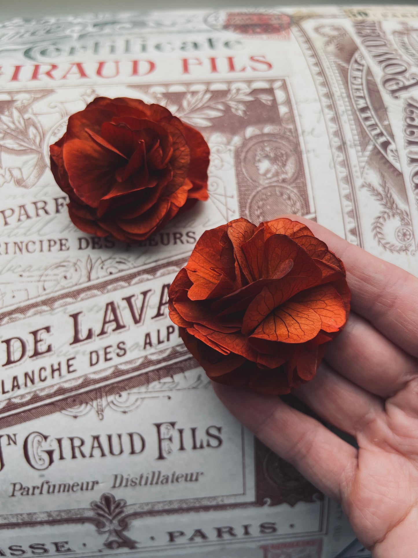 Autumnal Terracotta Orange Earrings, Burnt Orange Floral Headpiece Dried Flower Comb for Wedding