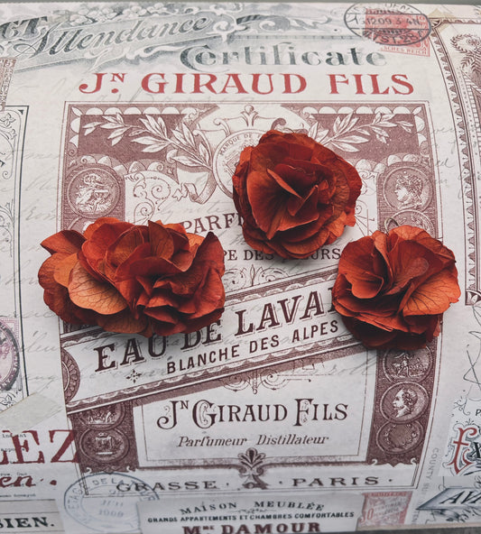 Autumnal Terracotta Orange Earrings, Burnt Orange Floral Headpiece Dried Flower Comb for Wedding