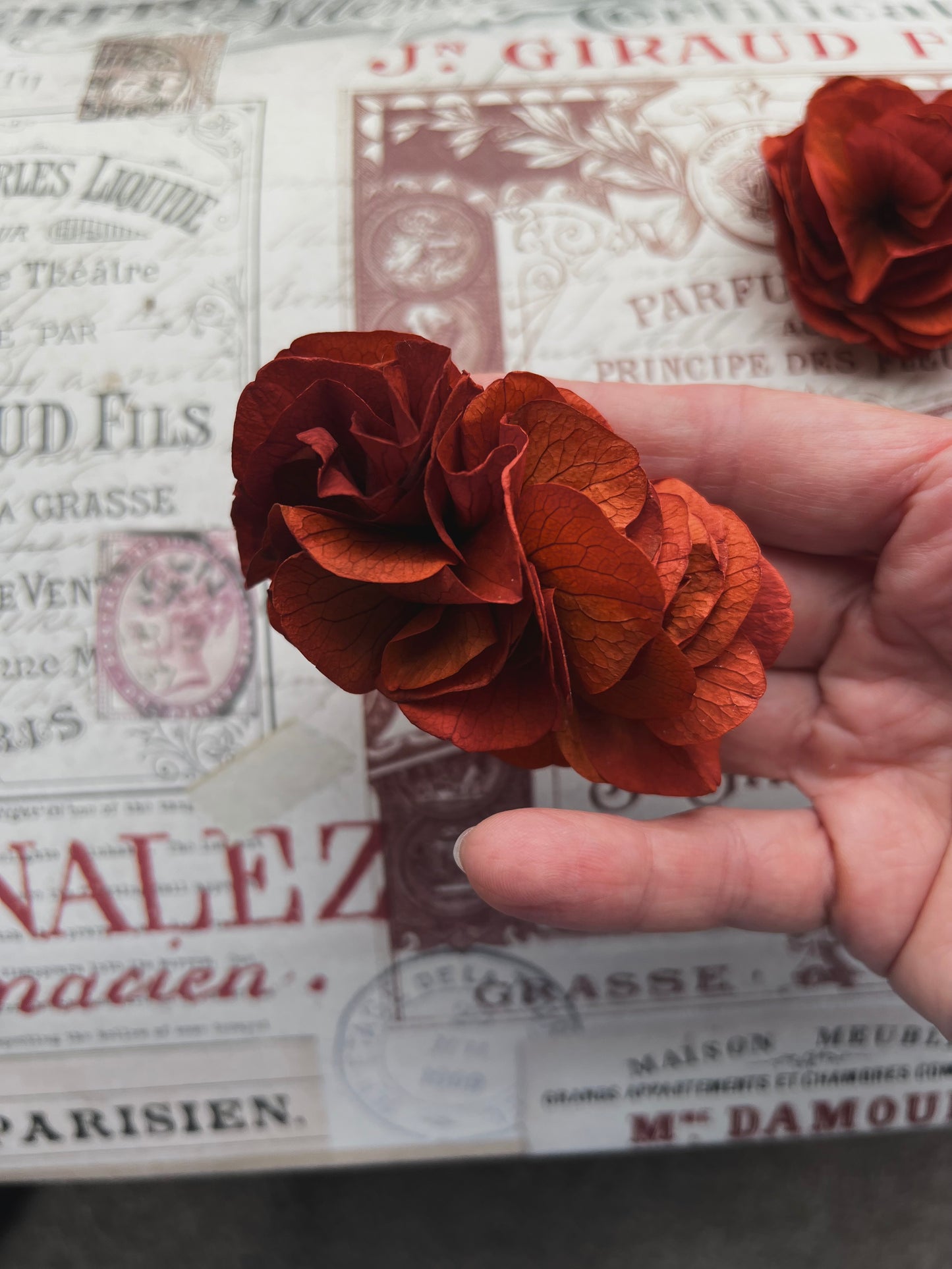 Autumnal Terracotta Orange Earrings, Burnt Orange Floral Headpiece Dried Flower Comb for Wedding
