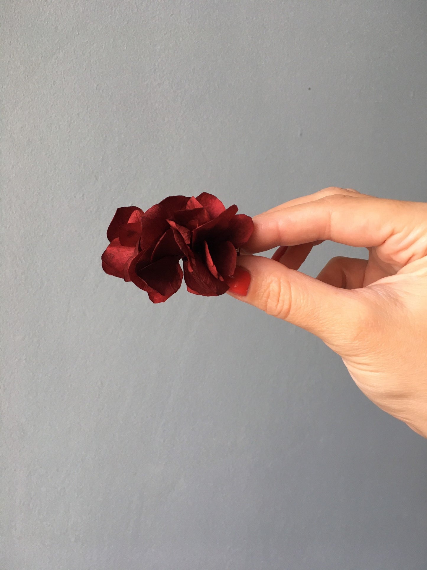 Dried Floral Hair Clip in Red Burgundy, Handmade Real Flower Hair Pins, Engagement Hair Comb, Red Preserved Hydrangea Hair Clip UK, Burgundy Flower Barrette UK