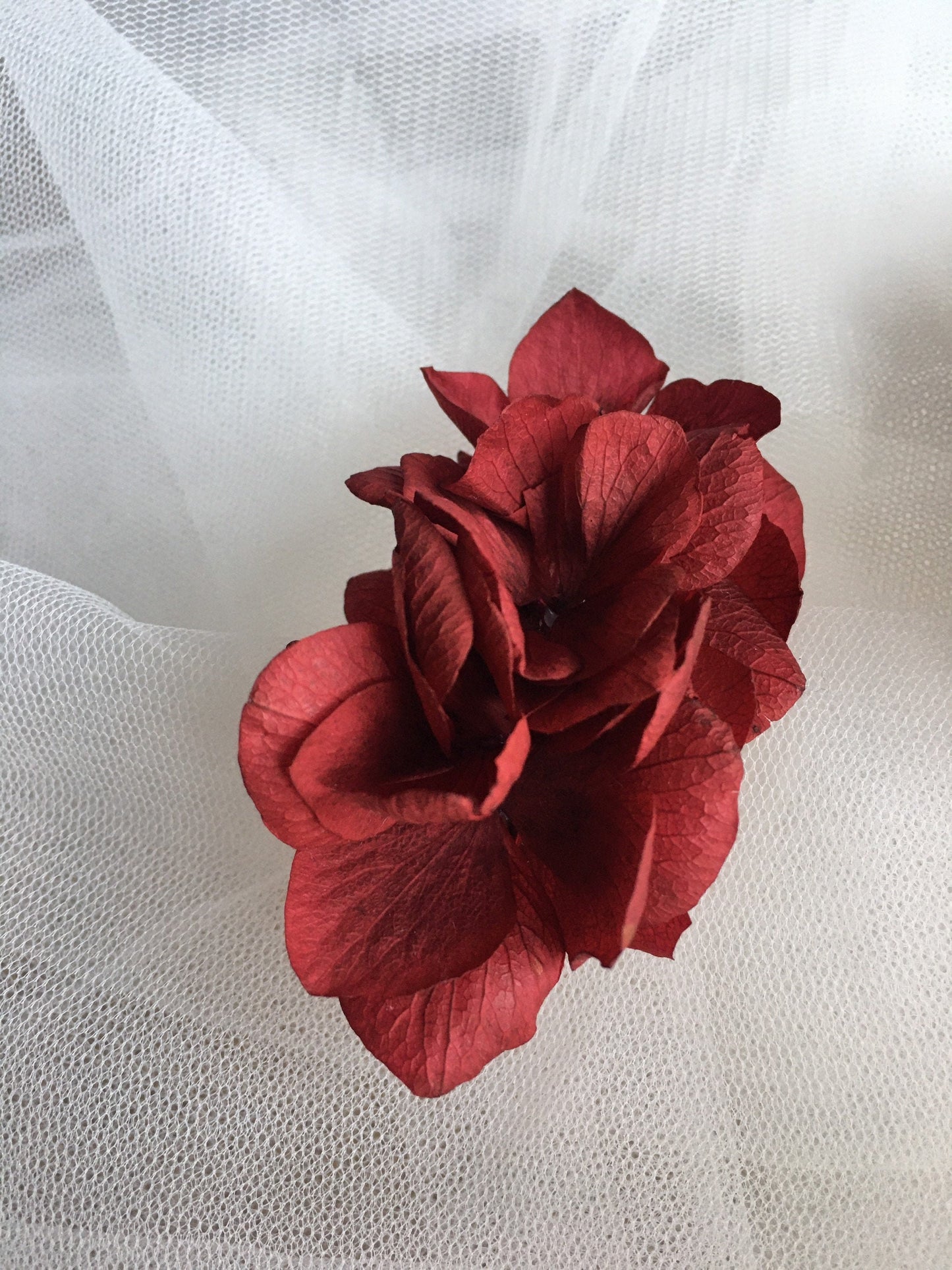 Dried Floral Hair Clip in Red Burgundy, Handmade Real Flower Hair Pins, Engagement Hair Comb, Red Preserved Hydrangea Hair Clip UK, Burgundy Flower Barrette UK